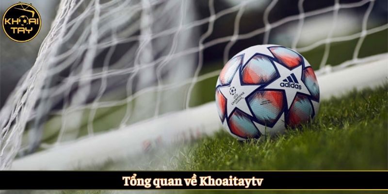 Tổng quan về Khoaitaytv